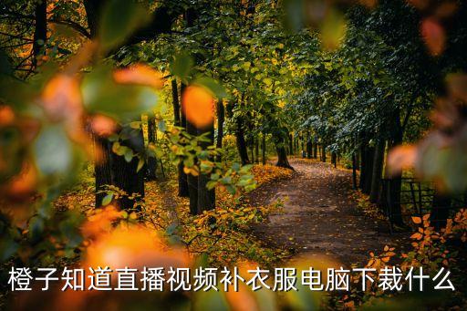 橙子知道直播視頻補衣服電腦下裁什么