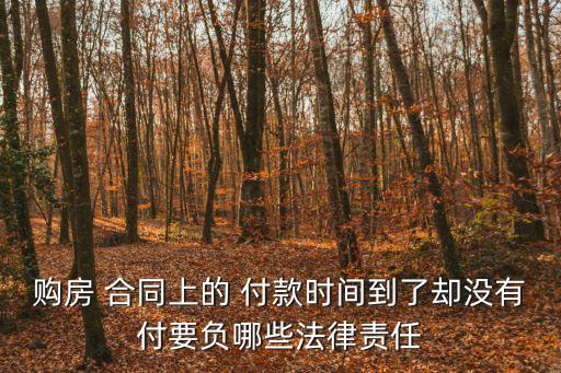 購(gòu)房 合同上的 付款時(shí)間到了卻沒(méi)有付要負(fù)哪些法律責(zé)任