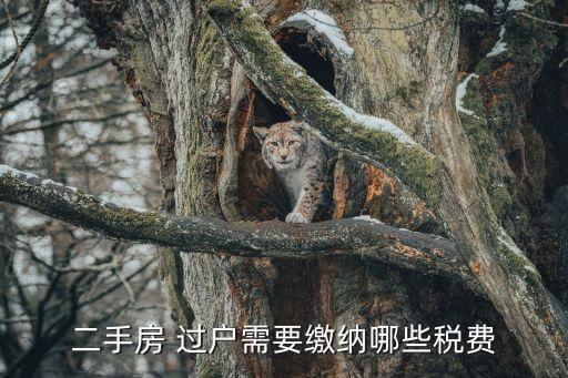 二手房 過(guò)戶需要繳納哪些稅費(fèi)