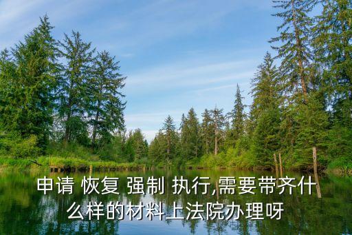申請(qǐng) 恢復(fù) 強(qiáng)制 執(zhí)行,需要帶齊什么樣的材料上法院辦理呀