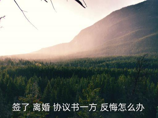 簽了 離婚 協(xié)議書一方 反悔怎么辦