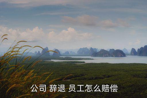  公司 辭退 員工怎么賠償
