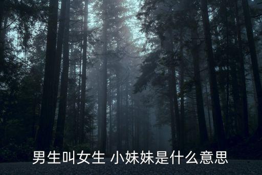 女人的小妹妹,女生的小玩意