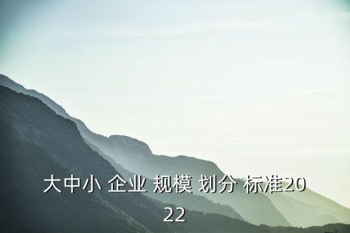 大中小 企業(yè) 規(guī)模 劃分 標(biāo)準(zhǔn)2022