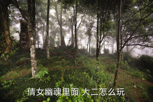 大二怎么打,倩女幽魂大二怎么打