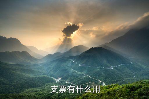  支票有什么用