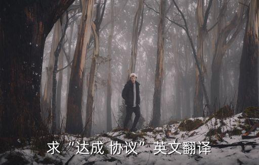 求“達(dá)成 協(xié)議”英文翻譯