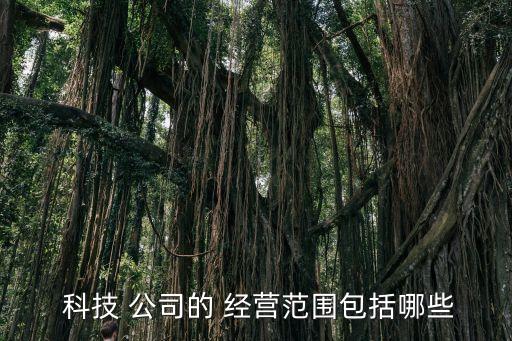 科技公司經(jīng)營(yíng)范圍,網(wǎng)絡(luò)科技公司經(jīng)營(yíng)范圍