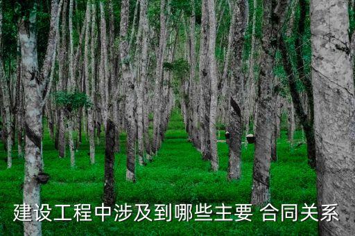建設(shè)工程中涉及到哪些主要 合同關(guān)系