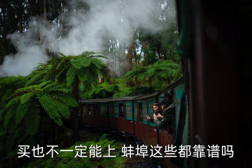 蚌埠二實小