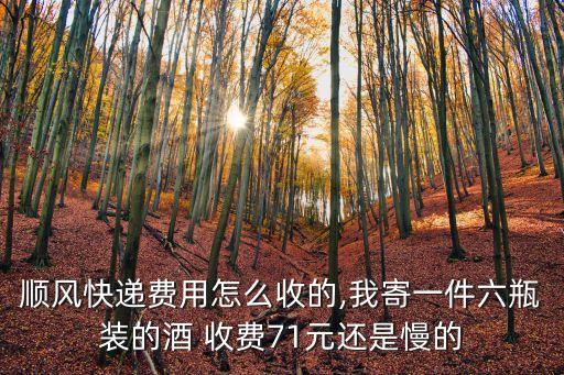 順風(fēng)快遞費(fèi)用怎么收的,我寄一件六瓶裝的酒 收費(fèi)71元還是慢的