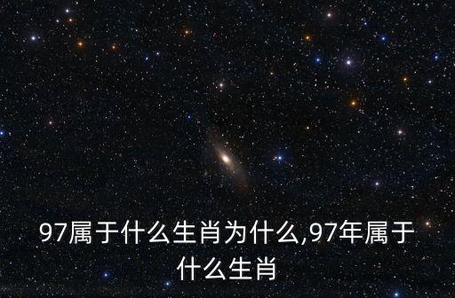 97屬于什么生肖為什么,97年屬于什么生肖