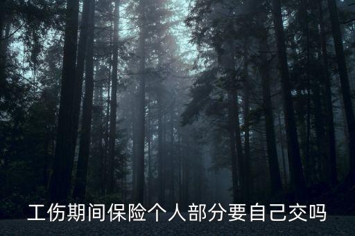 工傷期間保險(xiǎn)個(gè)人部分要自己交嗎
