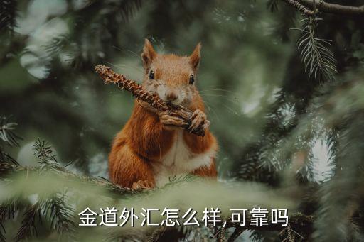 金道外匯怎么樣,可靠嗎