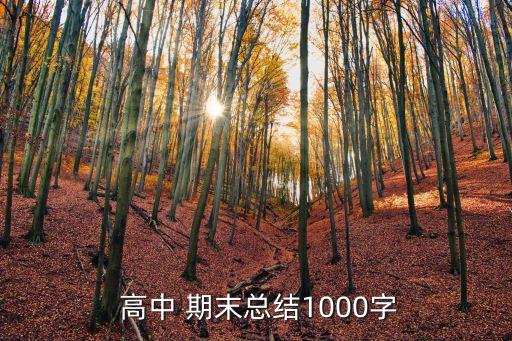  高中 期末總結(jié)1000字