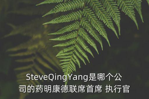 執(zhí)行總監(jiān),總監(jiān)和執(zhí)行總監(jiān)的區(qū)別