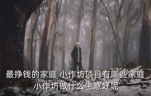 最掙錢的家庭 小作坊項(xiàng)目有哪些家庭 小作坊做什么生意好呢