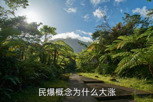  民爆概念為什么大漲