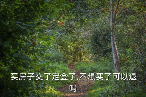  買房子交了定金了,不想買了可以退嗎