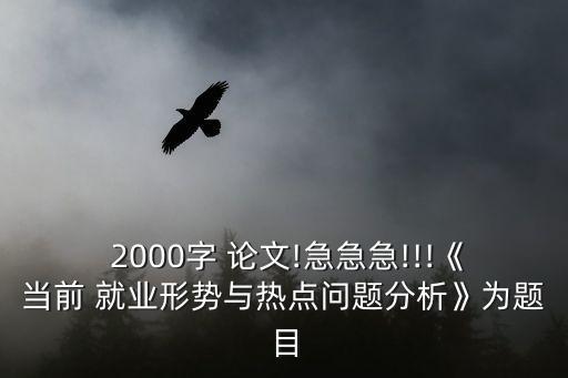大學(xué)生就業(yè)安全論文2000字