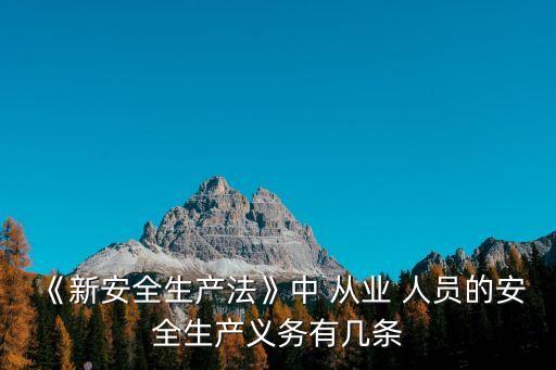 《新安全生產(chǎn)法》中 從業(yè) 人員的安全生產(chǎn)義務(wù)有幾條