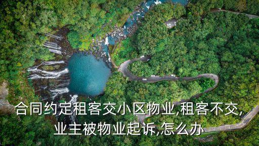 租房協(xié)議中租客責(zé)任,租客租房協(xié)議注意哪些問題