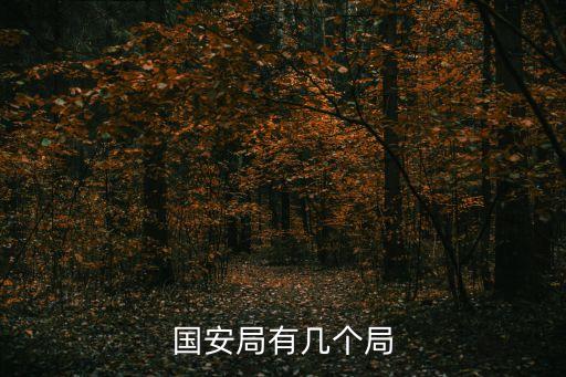 北京市安全局