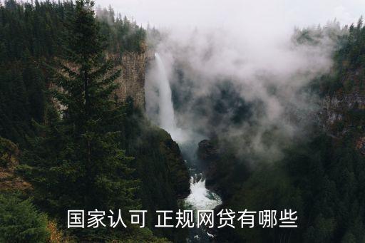 正規(guī)借款