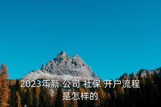 2023年新 公司 社保 開戶流程是怎樣的
