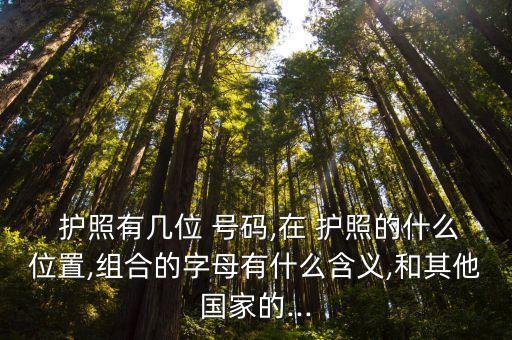 護(hù)照號碼格式,中國公民護(hù)照號碼格式