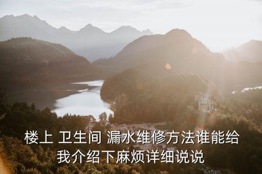  樓上 衛(wèi)生間 漏水維修方法誰能給我介紹下麻煩詳細(xì)說說