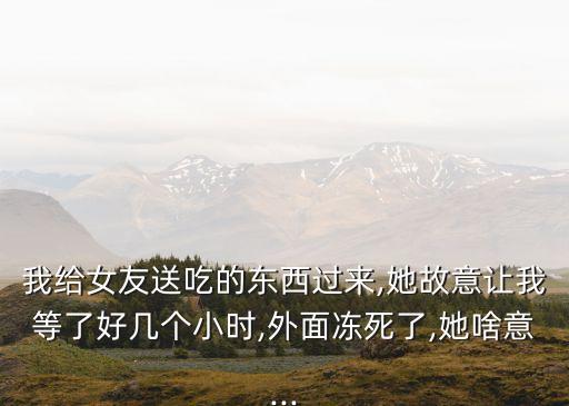 我給女友送吃的東西過來,她故意讓我等了好幾個(gè)小時(shí),外面凍死了,她啥意...