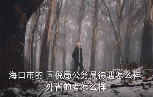 海口市的 國(guó)稅局公務(wù)員待遇怎么樣,外省的考怎么樣