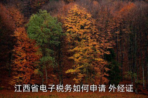 江西省電子稅務如何申請 外經證