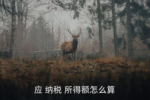 應 納稅 所得額怎么算