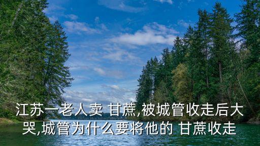 甘蔗訂購合同