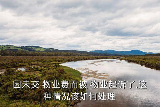 因未交 物業(yè)費(fèi)而被 物業(yè)起訴了,這種情況該如何處理