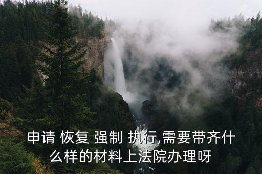 申請(qǐng) 恢復(fù) 強(qiáng)制 執(zhí)行,需要帶齊什么樣的材料上法院辦理呀