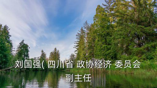 劉國(guó)強(qiáng)( 四川省 政協(xié)經(jīng)濟(jì) 委員會(huì)副主任