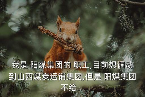 陽(yáng)煤職工