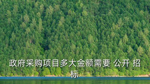 政府采購項目多大金額需要 公開 招標