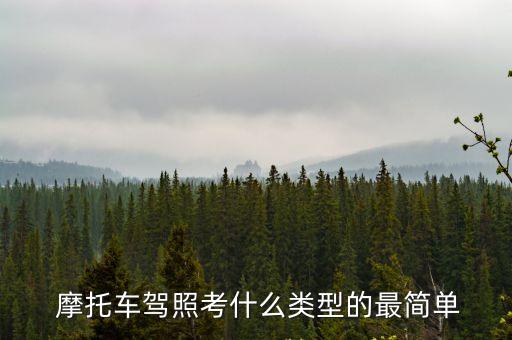 摩托車駕駛