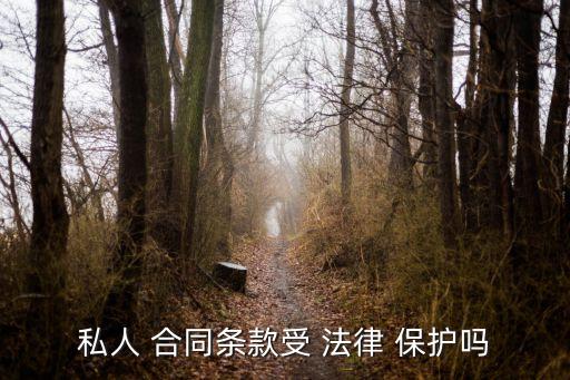 私人 合同條款受 法律 保護(hù)嗎