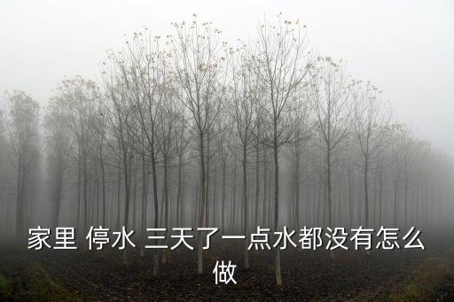 假如停水三天