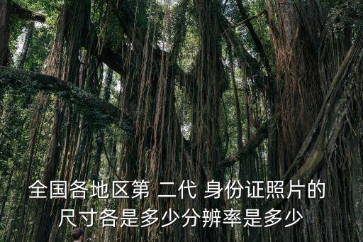 全國各地區(qū)第 二代 身份證照片的 尺寸各是多少分辨率是多少