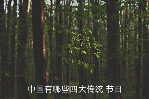 中國(guó)有哪些四大傳統(tǒng) 節(jié)日