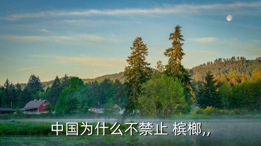 賣檳榔合法嗎,2023年中國全面禁止檳榔