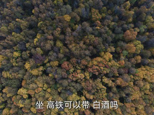 高鐵上能帶白酒嗎