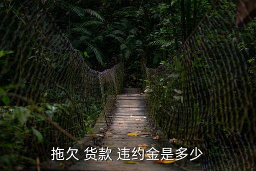 拖欠 貨款 違約金是多少