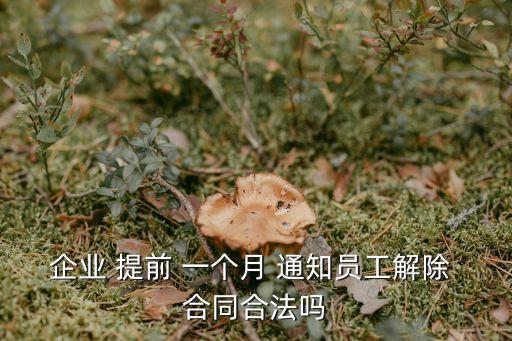 企業(yè) 提前 一個月 通知員工解除 合同合法嗎